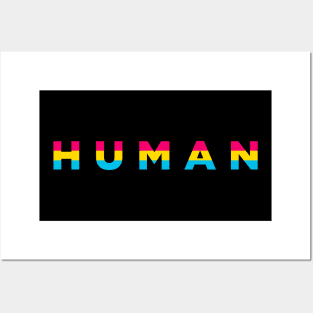 Human Humanity Pride Flag Pansexual Posters and Art